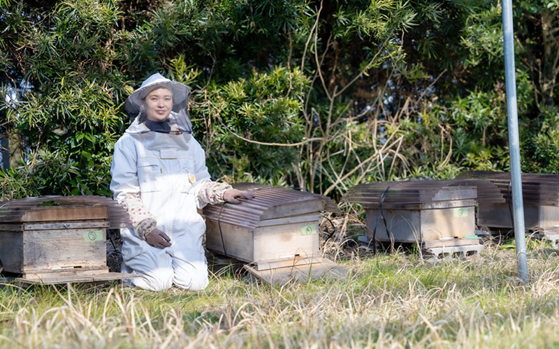 一期一会のハチミツ  養蜂家の情熱が生む一滴