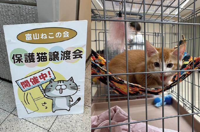 富山ねこの会